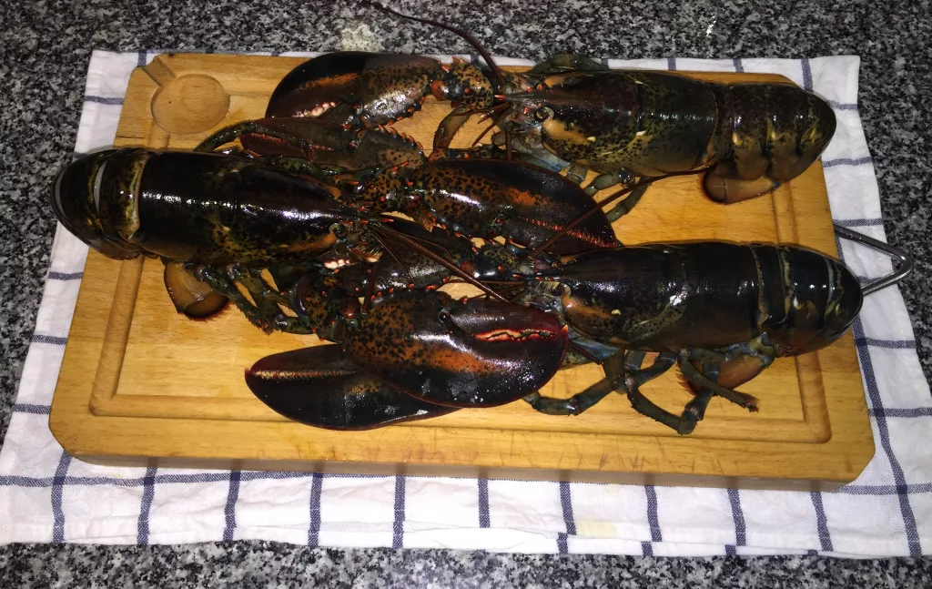 bogavante a la plancha