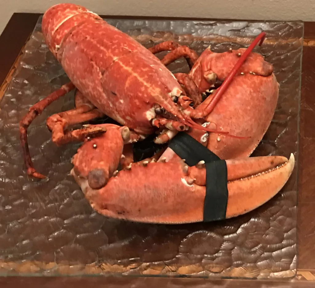 bogavante cocido