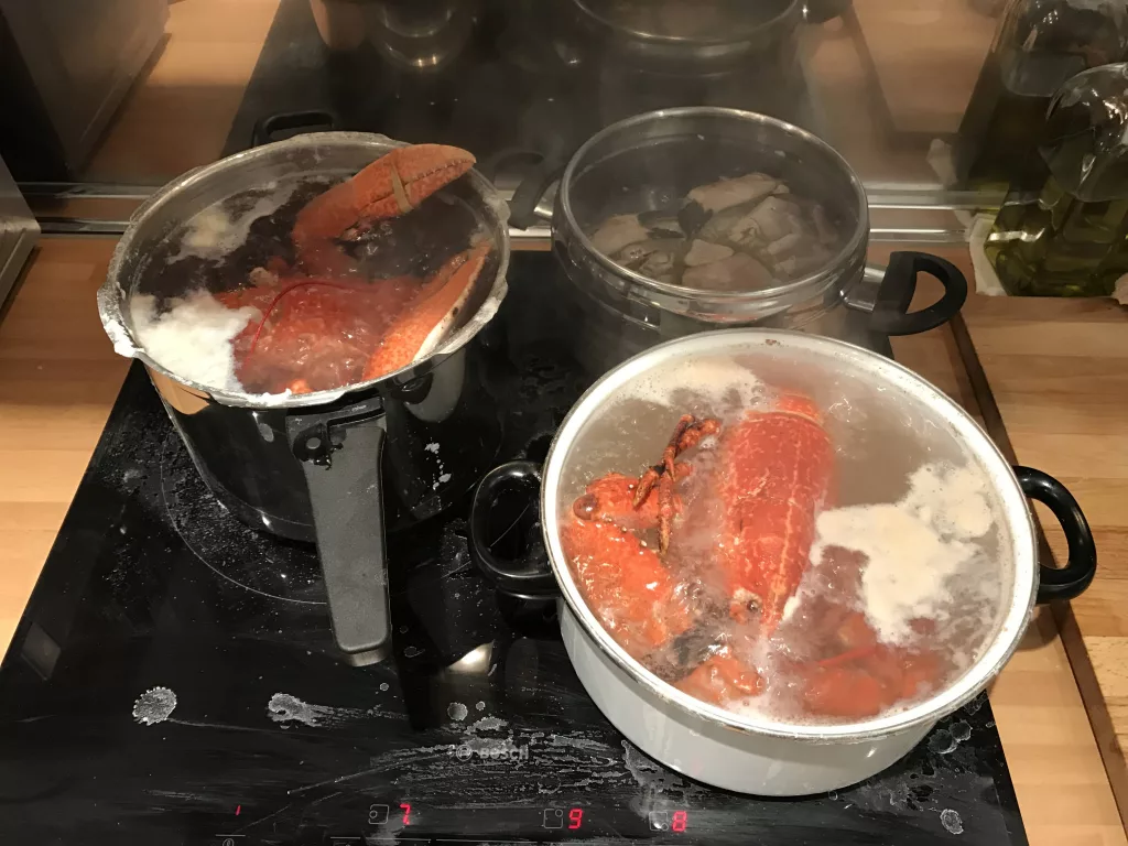 bogavante cocido
